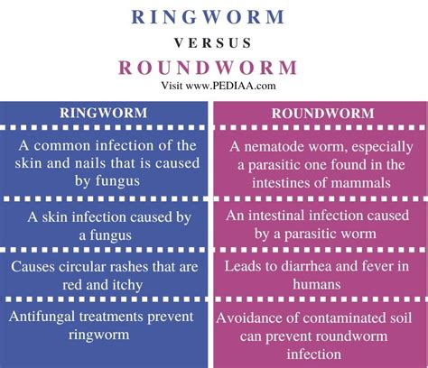 What Is The Difference Between Ringworm And Roundworm Pediaacom