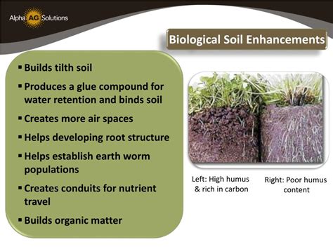 Integrated pest management contents what is integrated pest management? PPT - Sustainable Agriculture & Soil Management PowerPoint ...