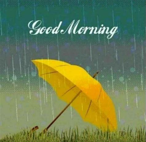 Excelente Good Morning Rain Images