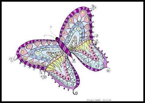Butterfly Illustration Illustrated Butterfly Whimsical