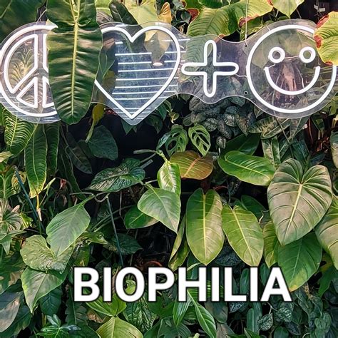 The Importance Of Biophilia In This New World Peace Love And Happiness