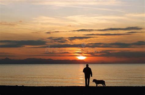 Man Walking The Dog On The Beach At Sunset Stock Image Image Of