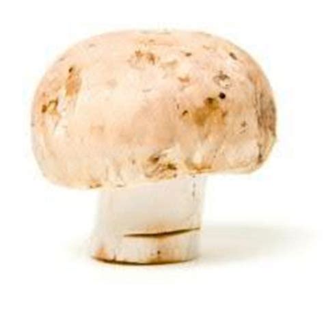 Mushroom Swiss Brown Pack 200g Kareela Grocer