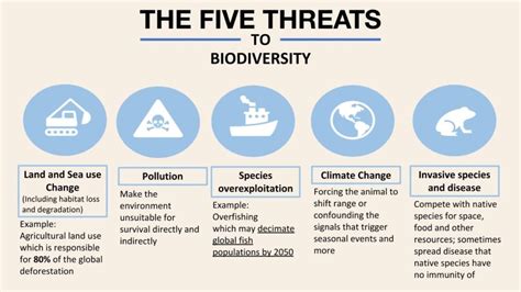 Why Biodiversity Is Important To Human Health The National