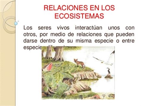 Relaciones En Los Ecosistemas1g1b Oscar