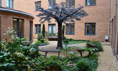 Seven Of The Uks Healing Hospital Gardens In Pictures Hospital