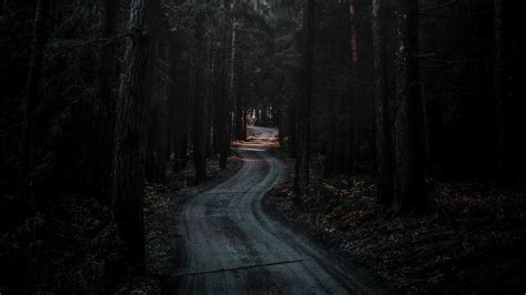 Forest Road Dark 4K wallpaper | Forest road, Nature desktop wallpaper