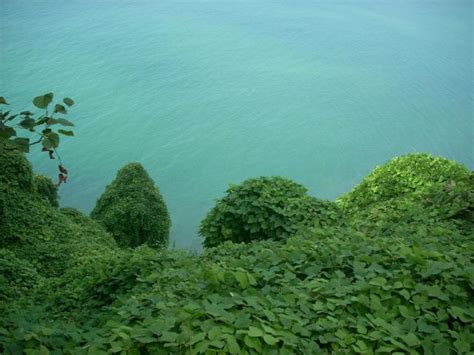 Od kilku lat gruzja jest coraz chętniej wybierana na wakacje. Zdjęcia: Batumi, Adżaria, Widok z ogrodu botanicznego na ...