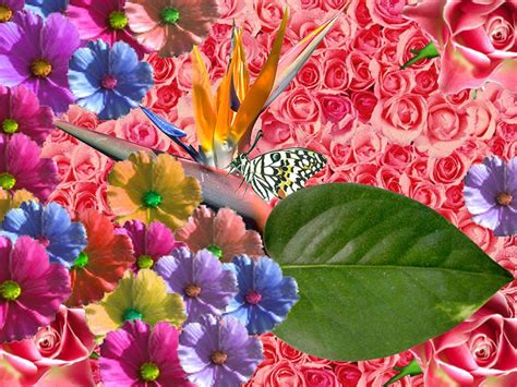 74 Free Spring Desktop Wallpaper On Wallpapersafari