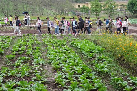 劳动研学实践 体验农耕文化图片新闻中国政府网