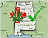 Pictures of Alabama Medical Marijuana