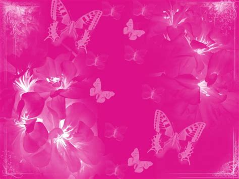 44 Pink Butterflies Wallpaper On Wallpapersafari