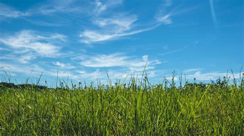 Green Grass Field Beside Body Of Water Under Blue Sky During Daytime