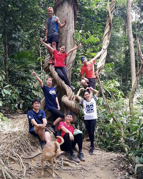 Gunung nuang 1493 m (4899 kaki) terletak di daerah hulu langat, selangor. Gunung Nuang via Pangsoon (Hulu Langat) - Popular Training ...