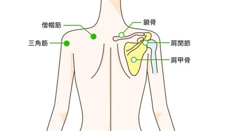 采 和輝(漫画) / 八月 八(原作) / 大橋 キッカ(キャラクター原案) キーワード: オペレーター 確認する ある 肩こり 筋肉 - miral.jp