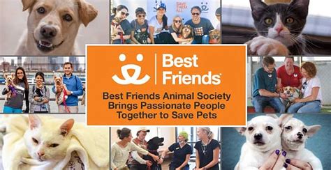 Best Friends Animal Society Brings Passionate People Together To Save Pets
