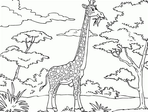 Savanna Coloring Pages Coloring Home