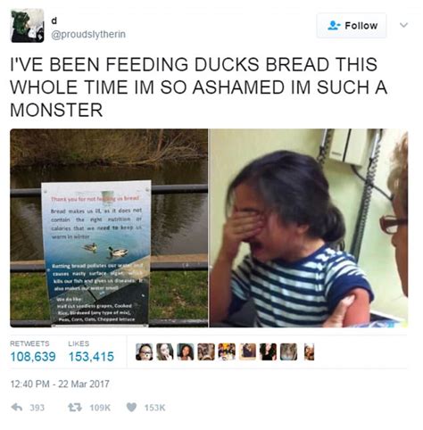 Sign Warning People Not To Feed Ducks Bread Upsets Twitter Daily Mail Online