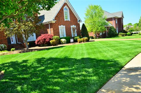 Basic Tips You Need to Know About Your Lawn Care Maintenance - Maple