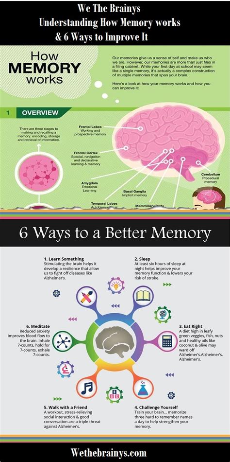 Understanding How Memory Works And Ways To Improve It Infographic