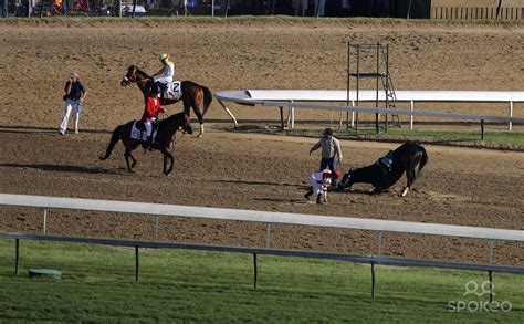 Just After She Finishes Second In The Kentucky Derby To Big Brown