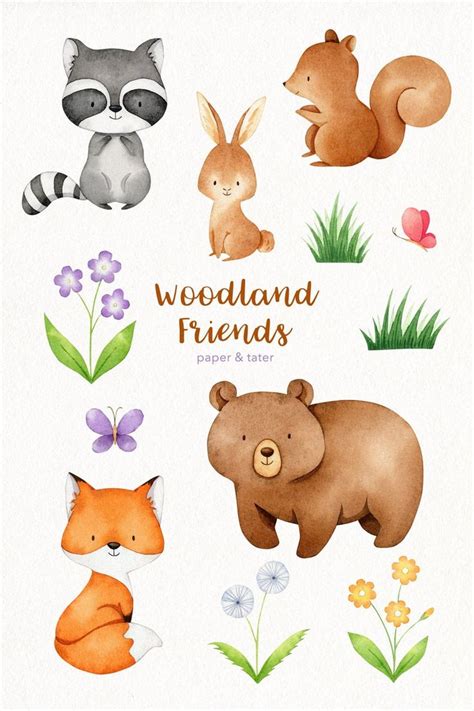 Watercolor Forest Animals Clipart