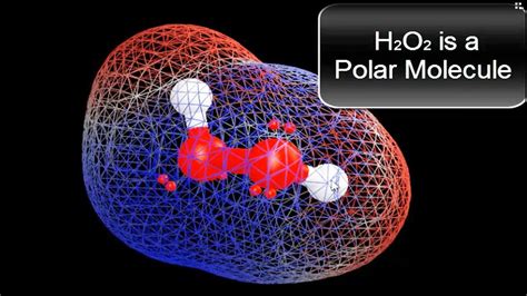 Feel free to request other molecules that i should be posting about. Is H2O2 Polar or Nonpolar? - YouTube