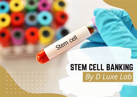 stem cell banking procedure by d luxe lab d luxe lab