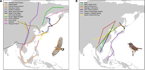 Frontiers The State Of Migratory Landbirds In The East Asian Flyway
