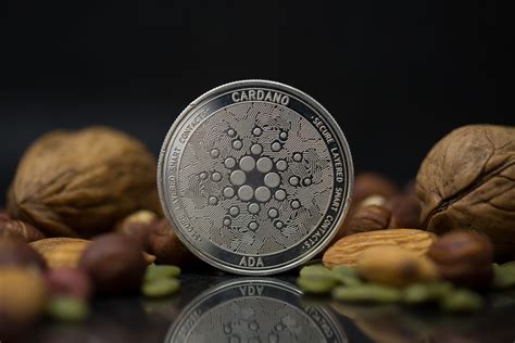 A Closer Look At Cardano Coincheckup Blog Cryptocurrency News
