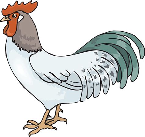 Free Vector Graphic Rooster Cockerel Cock Male Free Image On