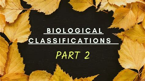 Basic Classification Ch Biological Classifications By Vaishnavi My