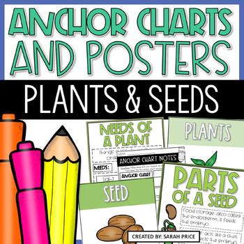 All About Plants Anchor Charts Parts Of Seeds Needs Of Plants Poster
