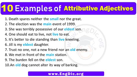 10 Examples Of Attributive Adjectives In Sentences Engdic