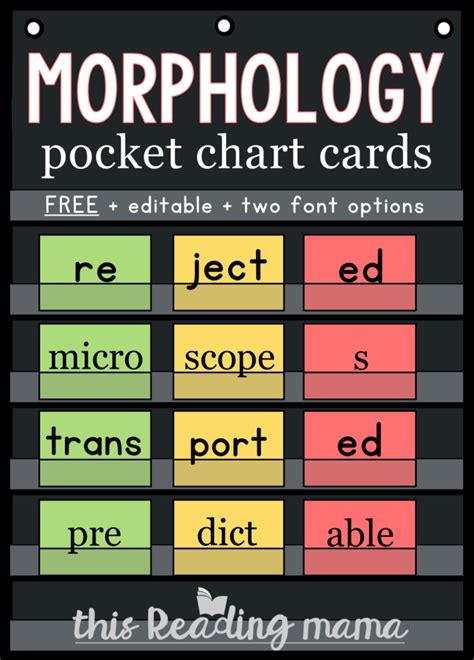 Morphology Pocket Chart Cards Laptrinhx News