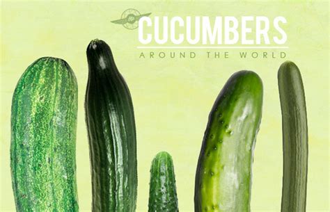 Otps Guide To Big Thick Juicy Cucumbers Around The World Huffpost