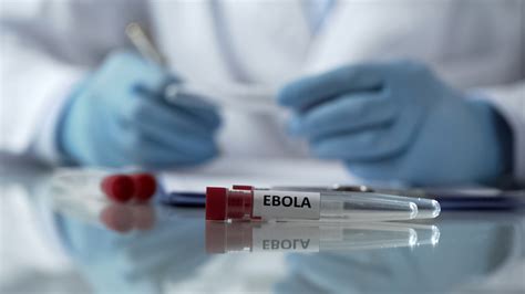 Adenoviruses are a group of viruses that cause the. Bavarian Nordic, Janssen to provide Ebola vaccine to Republic of Rwanda - Homeland Preparedness News