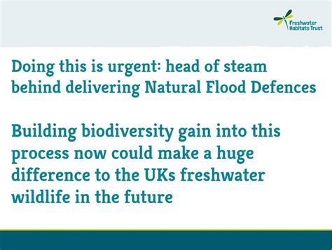 Natural Flood Defences And Biodiversity Freshwater Habitats