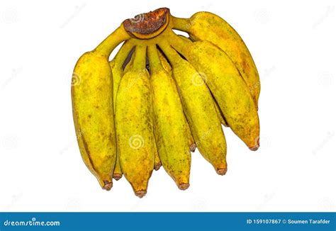 Pisang Awak Banana On White Background Stock Image Image Of Musaceae