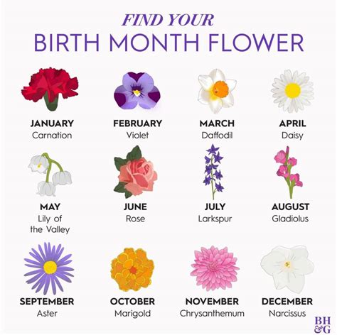 Birth Flowers For Each Month List Birth Month Flowers Personalized