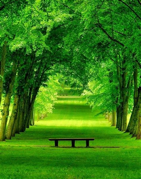 Spring Green Scenery Pictures Photos And Images For