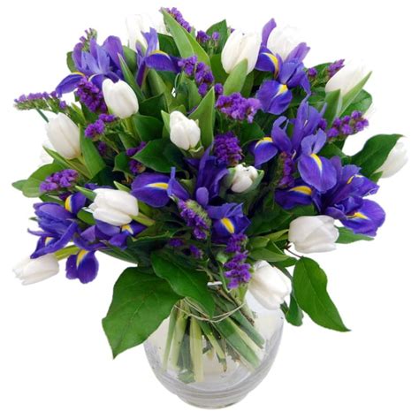 Blue Dew Fresh Flower Bouquet Fresh Iris Flowers Delivered Next Day