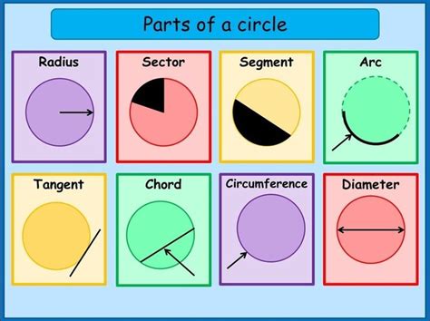 What Are The Parts Of A Circle Math Tutorials Studying Math Math Charts