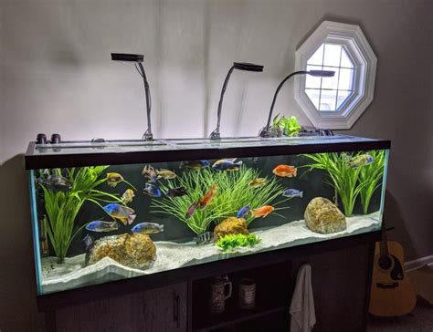 125 Gallon Fish Tank Australia Wese Aquarium Fish