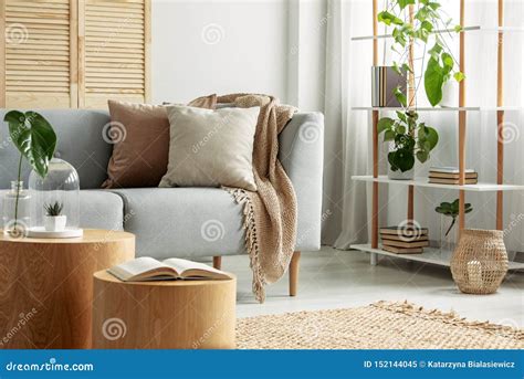 Modern Living Room In Natural Botanical Style Stock Image Image Of