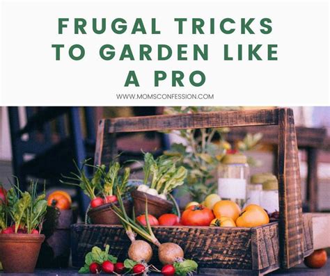 Frugal Gardening Tips And Tricks For Beginners And Experts Moms Confession