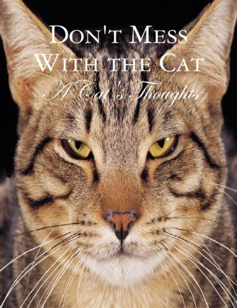 Dont Mess With The Cat A Cats Thoughts By M Osterhoudt Nook Book