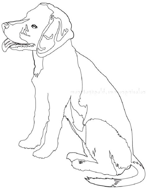 Beagle Coloring Pages 2 Educative Printable