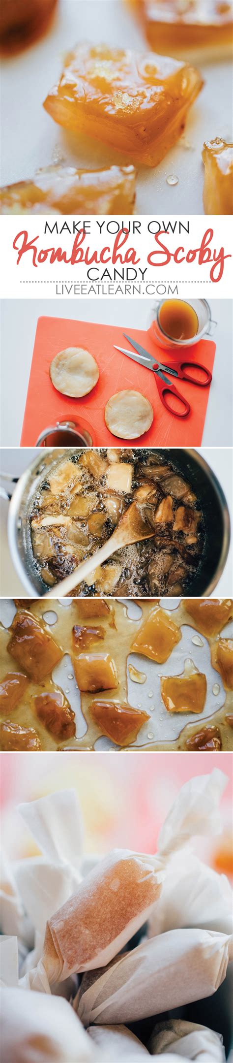 How to get a scoby. Kombucha SCOBY Candy | Recipe | Kombucha, Recipes ...