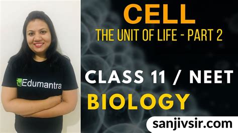 CELL THE UNIT OF LIFE PART 2 CLASS 11 BIOLOGY CHAPTER 8 YouTube